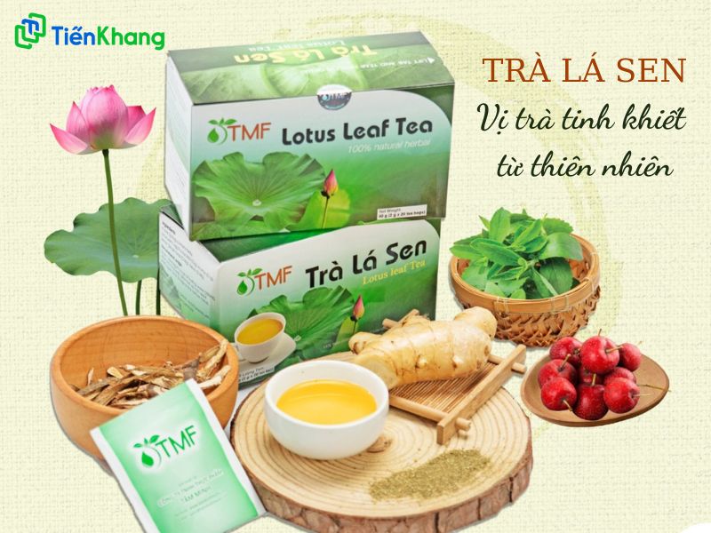 Tìm hiểu về trà lá sen túi lọc Tâm Minh